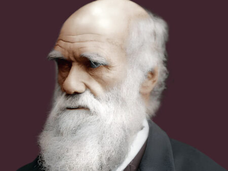 Biography Of Charles Darwin