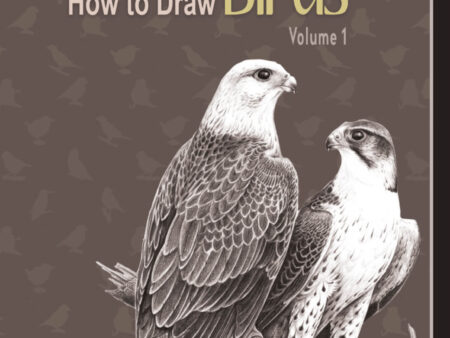 How To Draw Birds Vol        1