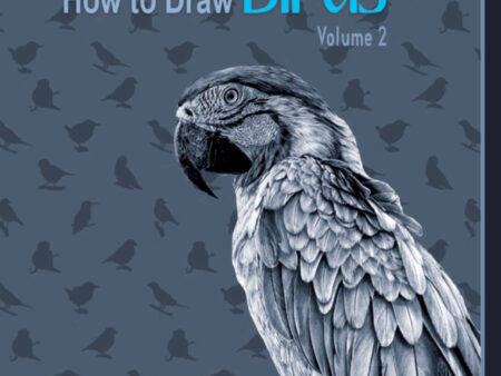 How To Draw Birds Vol        2