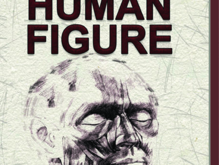How To Draw Human Figure