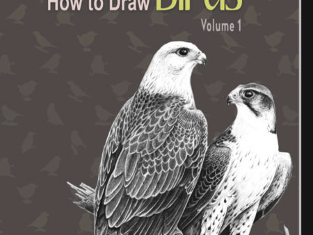 How to Draw Birds Vol. 2