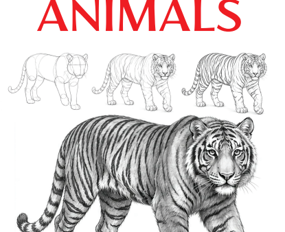 How to Draw ANIMALS